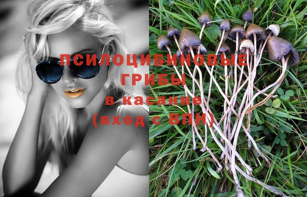 PSILOCYBIN Осташков
